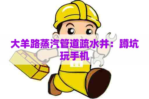 大羊路蒸汽管道疏水井：蹲坑玩手机