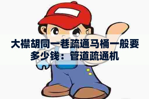 大襟胡同一巷疏通马桶一般要多少钱:管道疏通机 大襟胡同一巷疏通马桶一般要多少钱:管道疏通机