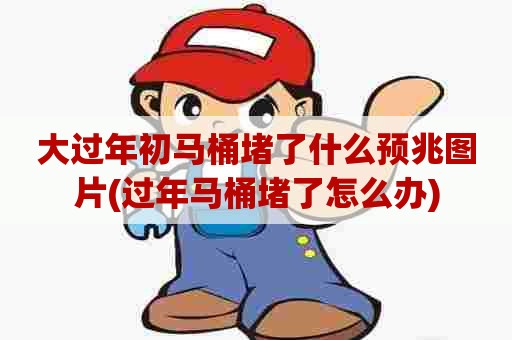 大过年初马桶堵了什么预兆图片(过年马桶堵了怎么办)