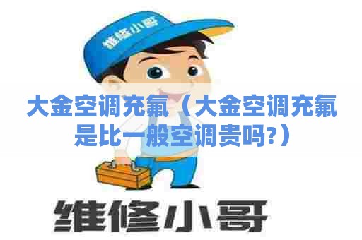 大金空调充氟（大金空调充氟是比一般空调贵吗?）