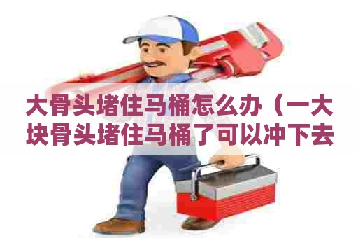 大骨头堵住马桶怎么办(一大块骨头堵住马桶了可以冲下去嘛) 大骨头堵住马桶怎么办(一大块骨头堵住马桶了可以冲下去嘛)