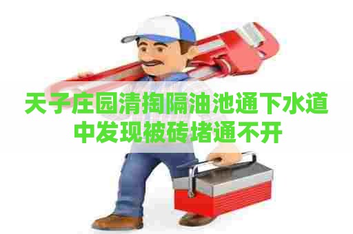 天子庄园清掏隔油池通下水道中发现被砖堵通不开
