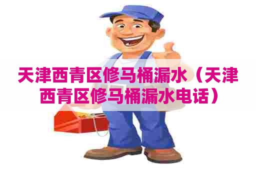 天津西青区修马桶漏水（天津西青区修马桶漏水电话）