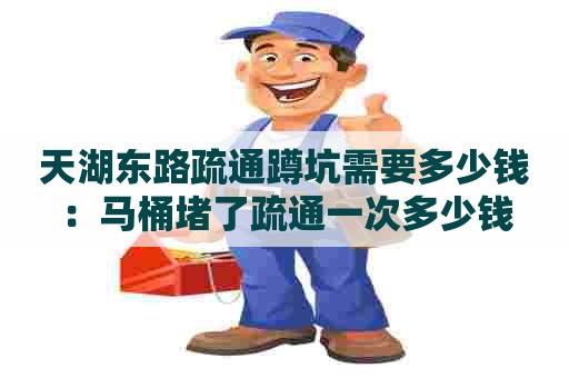 天湖东路疏通蹲坑需要多少钱：马桶堵了疏通一次多少钱