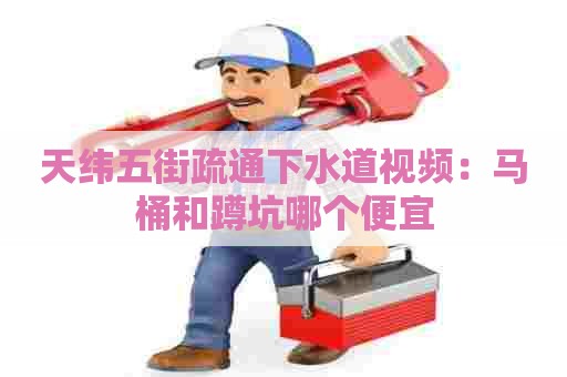 天纬五街疏通下水道视频:马桶和蹲坑哪个便宜 天纬五街疏通下水道视频:马桶和蹲坑哪个便宜