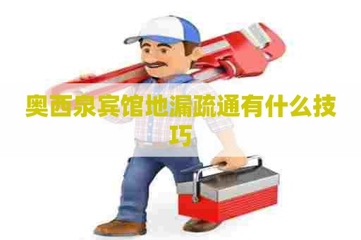 奥西泉宾馆地漏疏通有什么技巧
