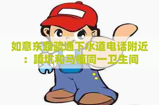 如意东路疏通下水道电话附近：蹲坑和马桶同一卫生间