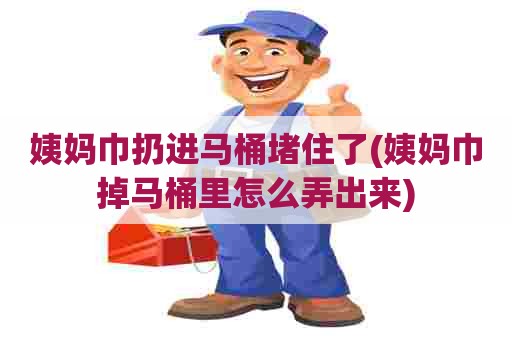 姨妈巾扔进马桶堵住了(姨妈巾掉马桶里怎么弄出来)