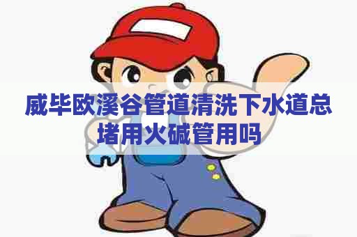 威毕欧溪谷管道清洗下水道总堵用火碱管用吗