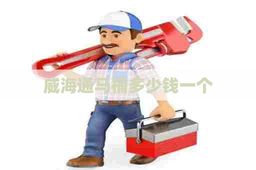 威海通马桶多少钱一个