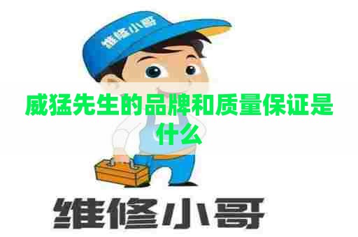 威猛先生的品牌和质量保证是什么