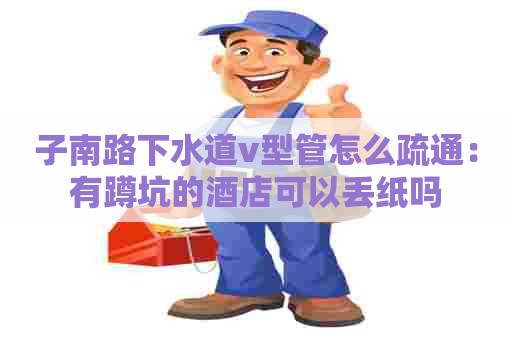 子南路下水道v型管怎么疏通:有蹲坑的酒店可以丢纸吗 子南路下水道v型管怎么疏通:有蹲坑的酒店可以丢纸吗