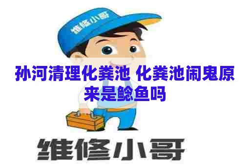 孙河清理化粪池 化粪池闹鬼原来是鲶鱼吗