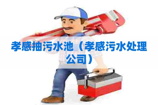 孝感抽污水池（孝感污水处理公司）