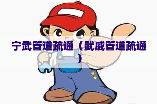 宁武管道疏通（武威管道疏通）