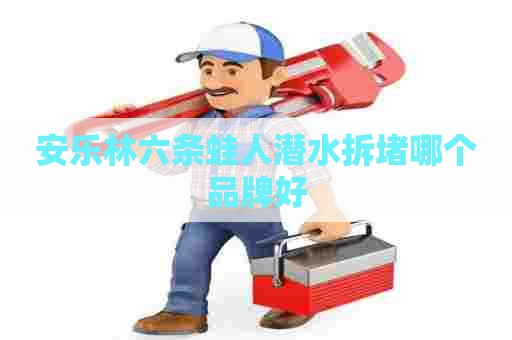 安乐林六条蛙人潜水拆堵哪个品牌好 安乐林六条蛙人潜水拆堵哪个品牌好