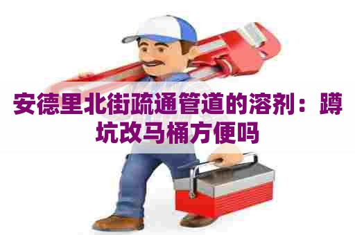 安德里北街疏通管道的溶剂：蹲坑改马桶方便吗