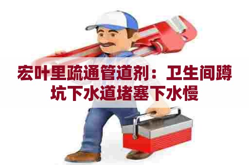 宏叶里疏通管道剂:卫生间蹲坑下水道堵塞下水慢 宏叶里疏通管道剂:卫生间蹲坑下水道堵塞下水慢