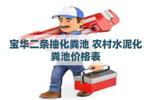 宝华二条抽化粪池 农村水泥化粪池价格表