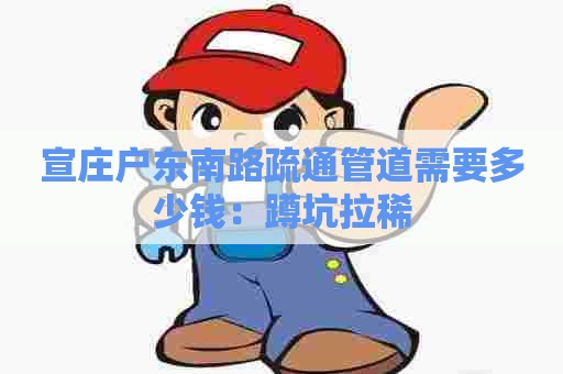 宣庄户东南路疏通管道需要多少钱：蹲坑拉稀