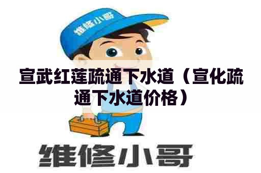 宣武红莲疏通下水道(宣化疏通下水道价格) 宣武红莲疏通下水道(宣化疏通下水道价格)