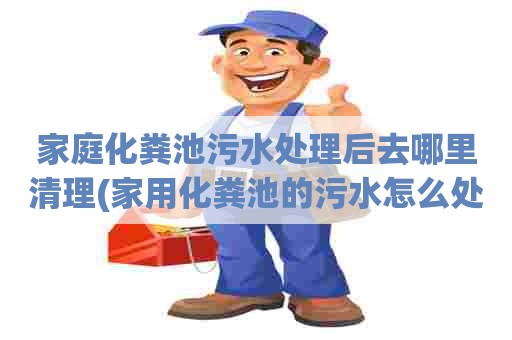 家庭化粪池污水处理后去哪里清理(家用化粪池的污水怎么处理)