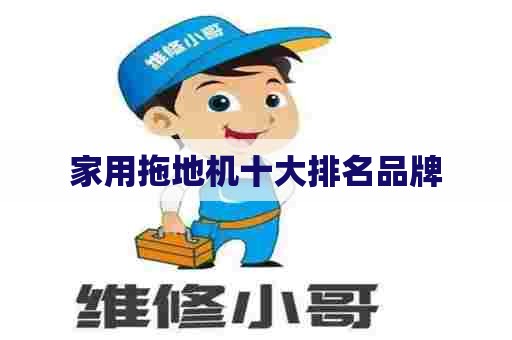 家用拖地机十大排名品牌