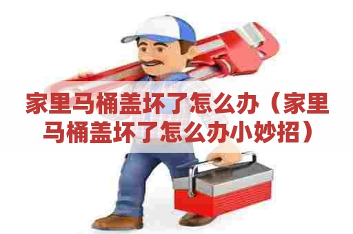 家里马桶盖坏了怎么办(家里马桶盖坏了怎么办小妙招) 家里马桶盖坏了怎么办(家里马桶盖坏了怎么办小妙招)