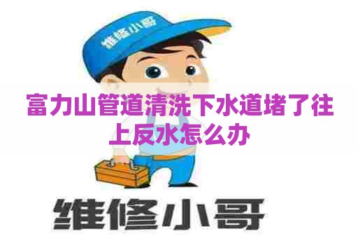 富力山管道清洗下水道堵了往上反水怎么办 富力山管道清洗下水道堵了往上反水怎么办