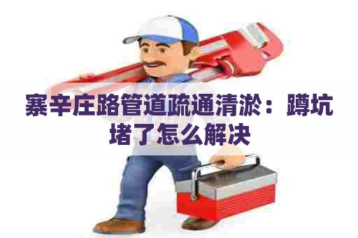 寨辛庄路管道疏通清淤：蹲坑堵了怎么解决