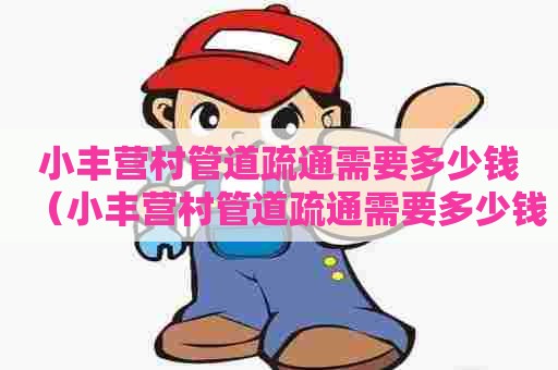 小丰营村管道疏通需要多少钱（小丰营村管道疏通需要多少钱一平方）