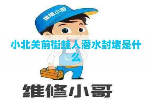 小北关前街蛙人潜水封堵是什么