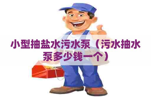 小型抽盐水污水泵（污水抽水泵多少钱一个）