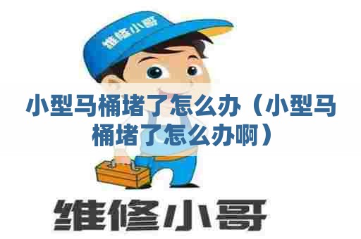 小型马桶堵了怎么办（小型马桶堵了怎么办啊）