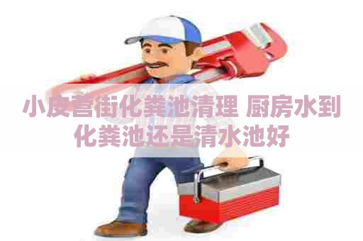 小皮营街化粪池清理 厨房水到化粪池还是清水池好
