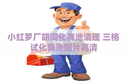 小红罗厂胡同化粪池清理 三格试化粪池图片高清