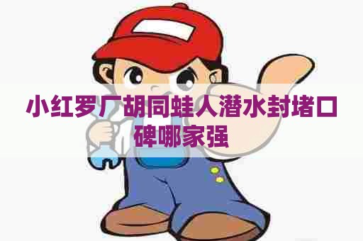 小红罗厂胡同蛙人潜水封堵口碑哪家强