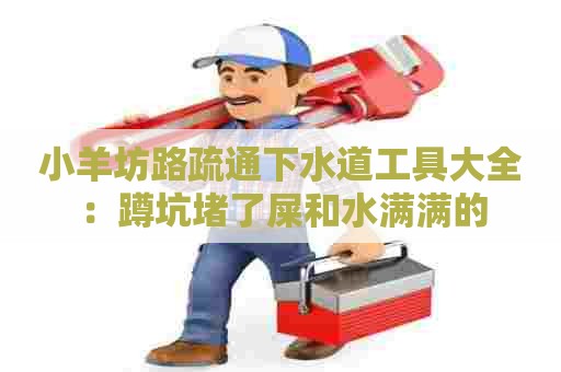 小羊坊路疏通下水道工具大全：蹲坑堵了屎和水满满的