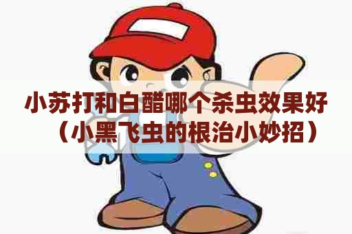 小苏打和白醋哪个杀虫效果好（小黑飞虫的根治小妙招）