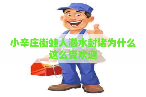 小辛庄街蛙人潜水封堵为什么这么受欢迎
