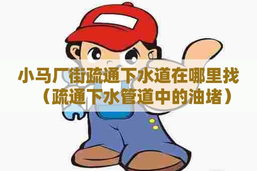 小马厂街疏通下水道在哪里找（疏通下水管道中的油堵）