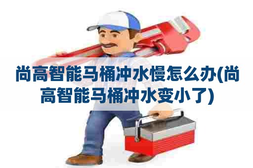 尚高智能马桶冲水慢怎么办(尚高智能马桶冲水变小了)