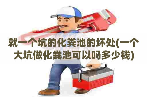 就一个坑的化粪池的坏处(一个大坑做化粪池可以吗多少钱)