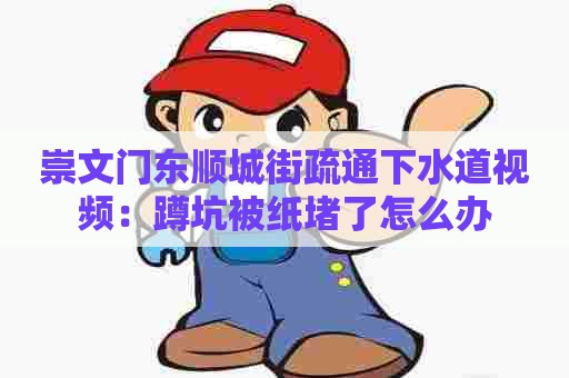 崇文门东顺城街疏通下水道视频:蹲坑被纸堵了怎么办 崇文门东顺城街疏通下水道视频:蹲坑被纸堵了怎么办