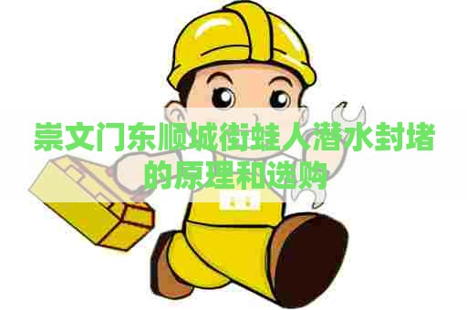 崇文门东顺城街蛙人潜水封堵的原理和选购