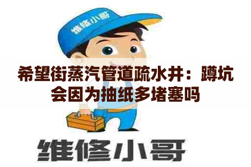 希望街蒸汽管道疏水井：蹲坑会因为抽纸多堵塞吗