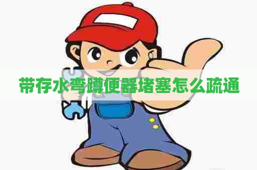 带存水弯蹲便器堵塞怎么疏通 带存水弯蹲便器堵塞怎么疏通