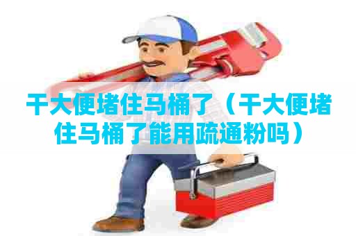 干大便堵住马桶了（干大便堵住马桶了能用疏通粉吗）