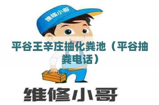 平谷王辛庄抽化粪池（平谷抽粪电话）