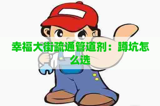 幸福大街疏通管道剂:蹲坑怎么选 幸福大街疏通管道剂:蹲坑怎么选